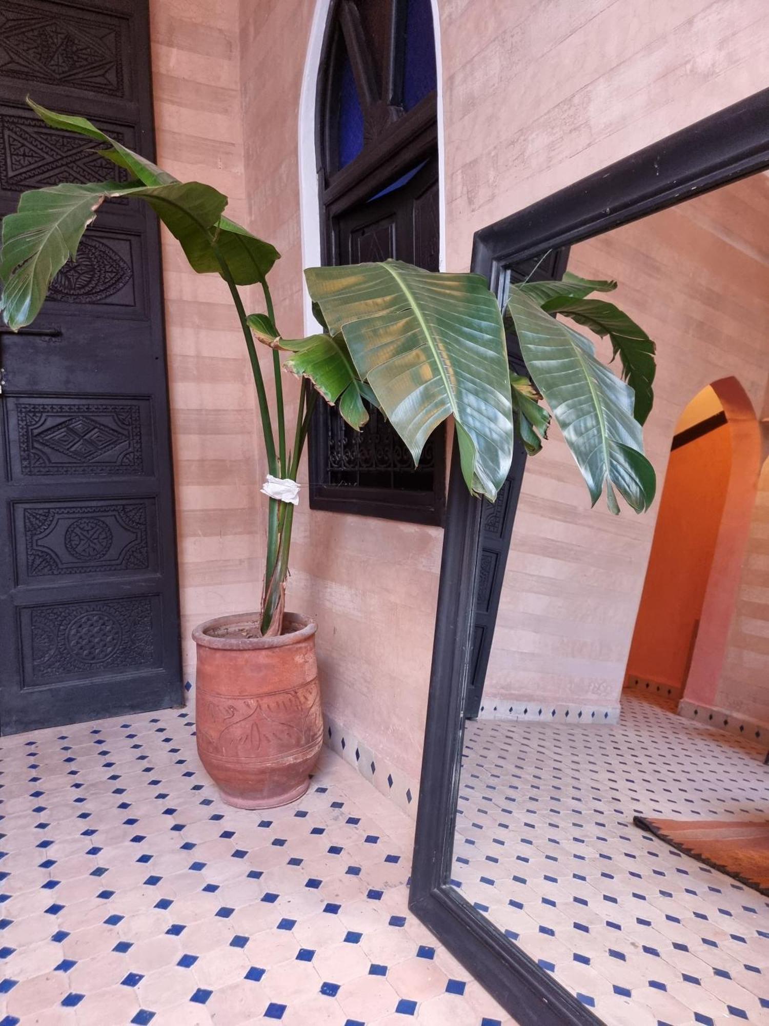 Riad Black Doors Marrákes Kültér fotó