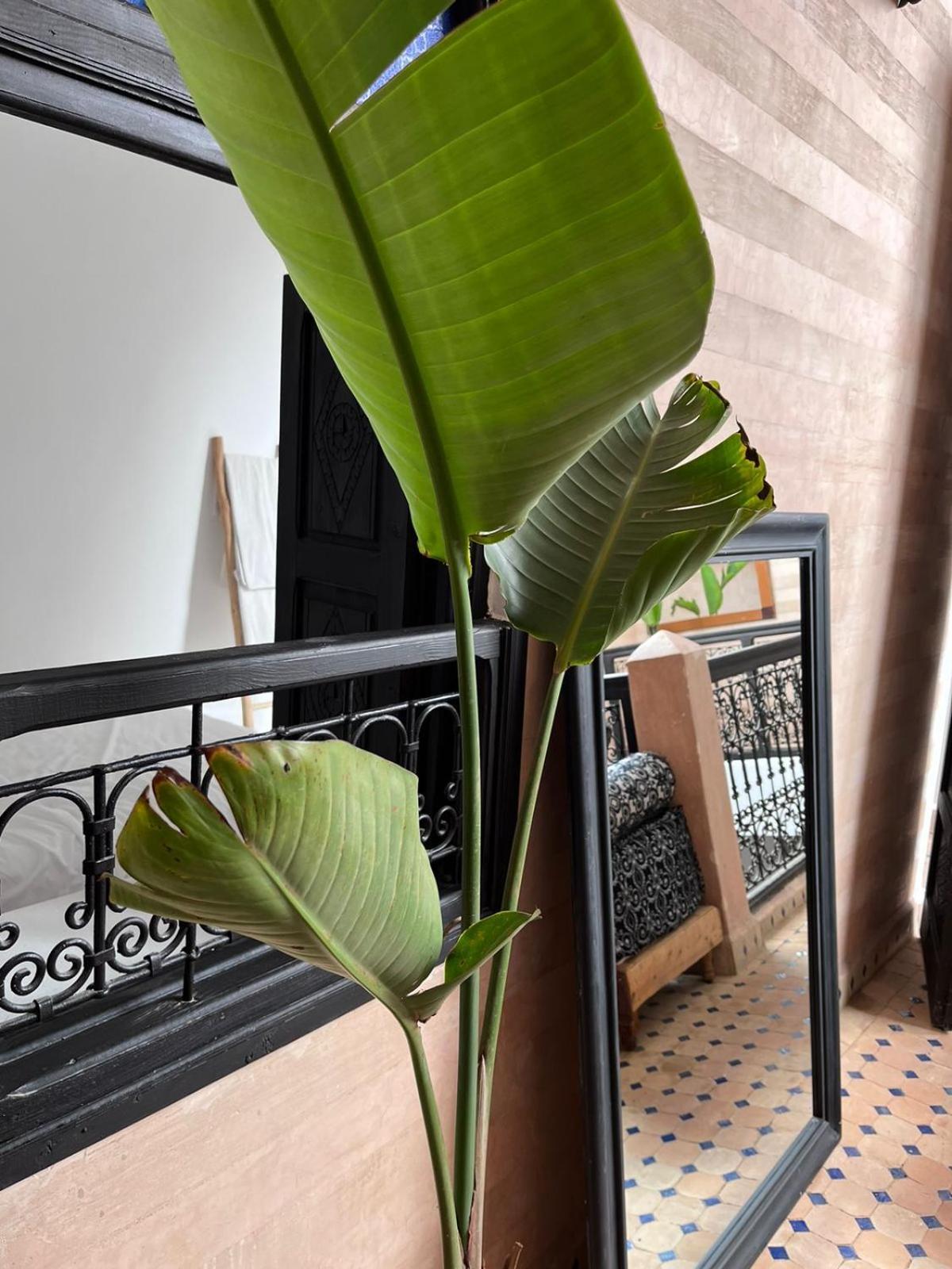 Riad Black Doors Marrákes Kültér fotó